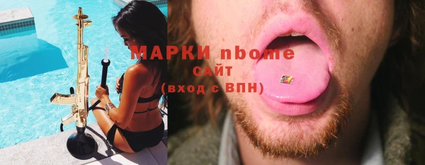 СК Елизово