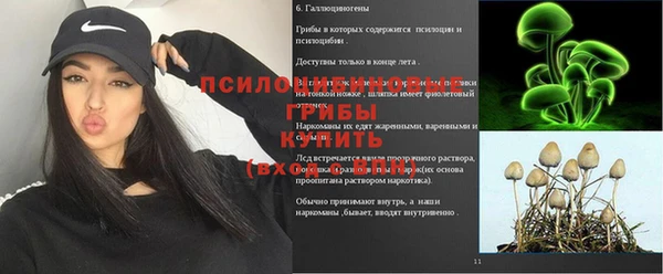 соль ск Ельня