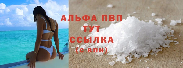 сатива Заволжск