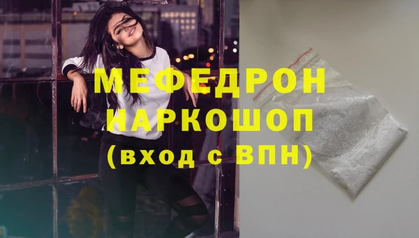 соль ск Ельня
