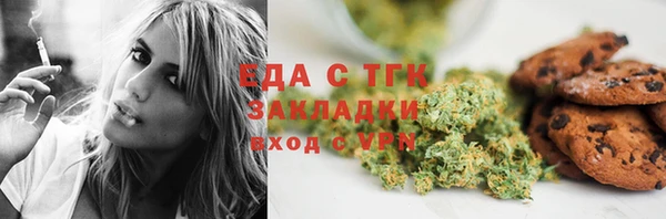 СК Елизово