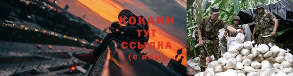 сатива Заволжск