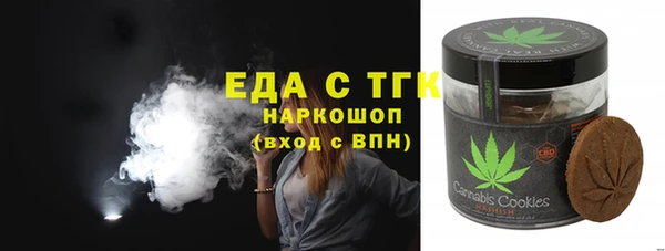 соль ск Ельня