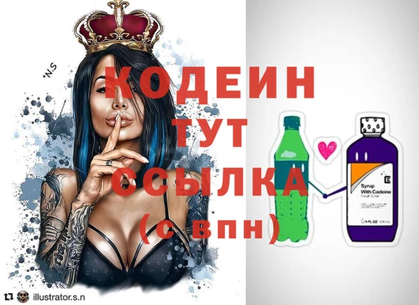 соль ск Ельня