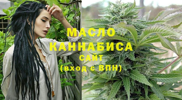 соль ск Ельня