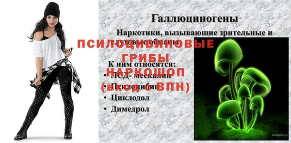 сатива Заволжск