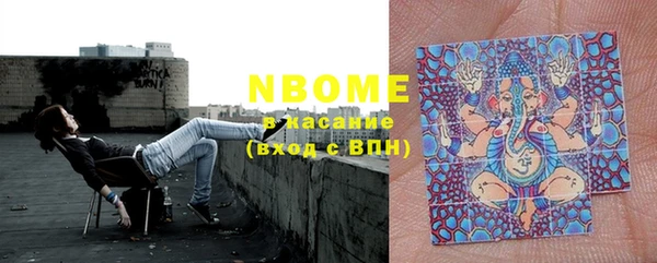соль ск Ельня