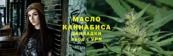 соль ск Ельня